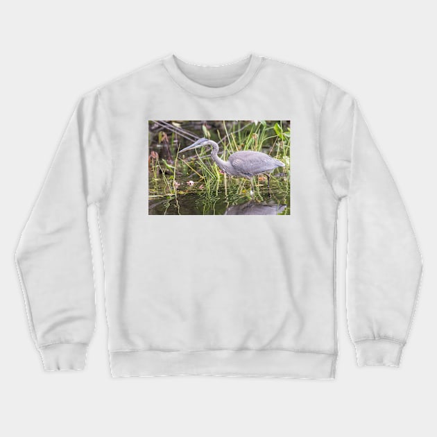 A lone Great Blue Heron Crewneck Sweatshirt by josefpittner